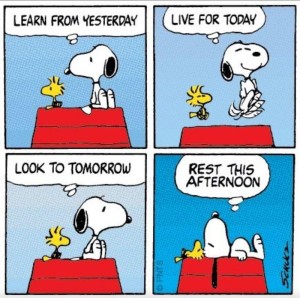 TAOLife-Snoopy-Live-for-today