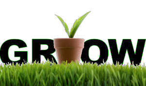 grow-your-business-using-lead-nurturing