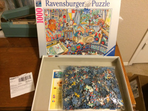 RavenPuzzle1